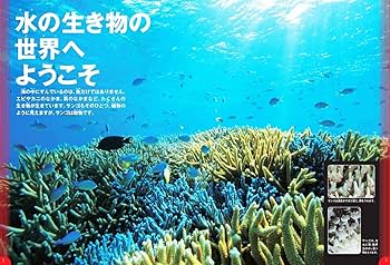 DVD付】水の生き物 (学研の図鑑LIVE) 3歳~小学生向け 図鑑